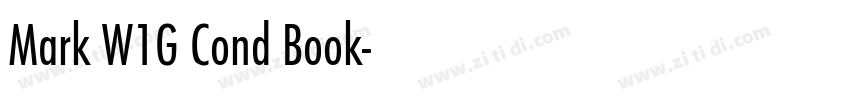 Mark W1G Cond Book字体转换